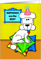 For Nephew Birthday with Standard Poodle on Colorful Pillows card
