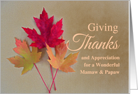 For Mamaw and Papaw Thanksgiving with Grunge Autumn Leaves card