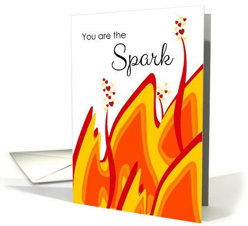 For Wife Valentines Day Your Are the Spark in My Flame card (1351460)