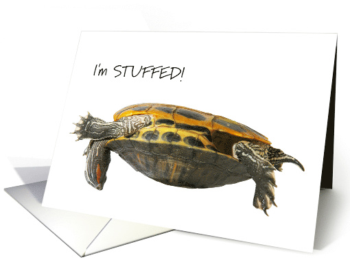 I'm Stuffed Funny Thanksgiving with Upside Down Tortoise card