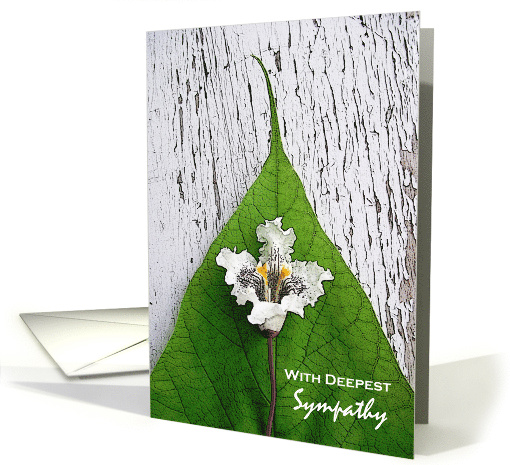 Sympathy on Loss of Mum with Catalpa Blossom and Leaf on Wood card