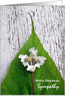 Sympathy on Loss of Foster Daughter with Catalpa Bloom on Leaf card