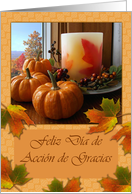 Thanksgiving volunteer opportunities gwinnett county