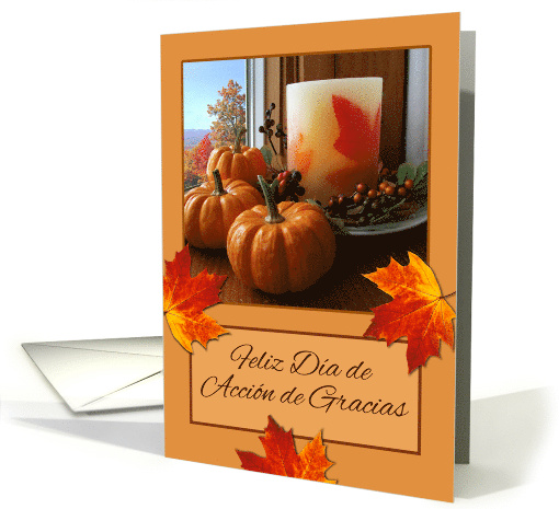 Spanish Thanksgiving Feliz Dia de Accion de Gracias... (1411242)
