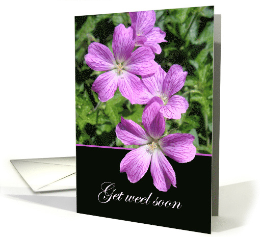Get Weel Soon Get Well Soon in Scots with Purple Flowers card