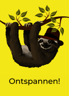 Dutch Congratulations on Retirement with Sloth Wearing Hat
