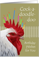 Rooster Birthday...