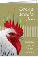 Rooster Birthday Wishes for Grandma from Grandson card