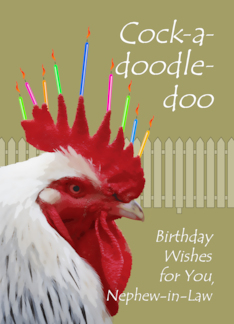 Rooster Birthday...