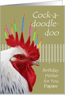 Rooster Birthday...