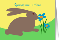 Springtime is Here, Rabbit Smelling a Flower card