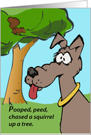 Funny Birthday Dog Pooped Peed and Chased a Squirrel Up a Tree card