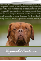 Dogue de Bordeaux, Brown Dog, Blank Inside card