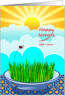 For Cousin Norooz...