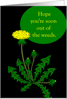 Feel Better Get Out of the Weeds with Dandelion card