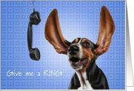 National Ding-a-Ling Day, Cute Long Eared Dog with Phone card