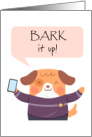 National Ding-a-Ling Day, Bark it up! Cute Dog in Sweater card