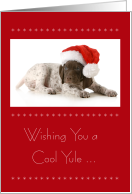 Christmas with German Shorthaired Pointer Puppy in Santa Hat card