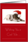 Christmas with German Shorthaired Pointer Puppy in Santa Hat card