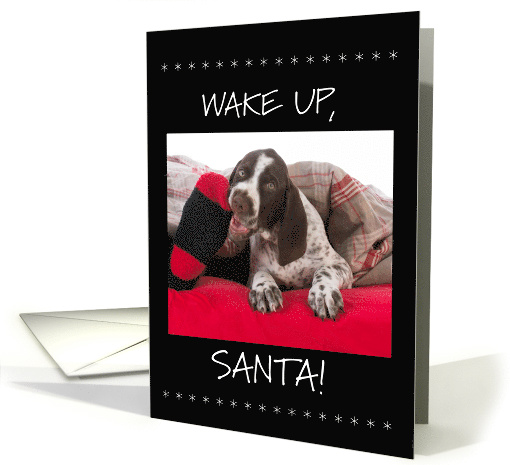 German Shorthaired Pointer Christmas Wake Up Santa card (1551020)