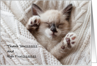 Cute Thank You for Pet Foster Mom with Sleeping Cat in Sweater card