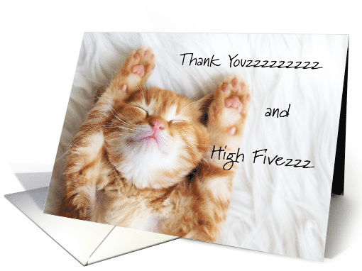 Cute Thank You for Pet Foster Mom with Sleeping Cat card (1551096)