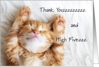 Cute Thank You for Pet Foster Mom with Sleeping Cat card