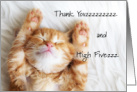 Cute Thank You for Pet Foster Mom with Sleeping Cat card