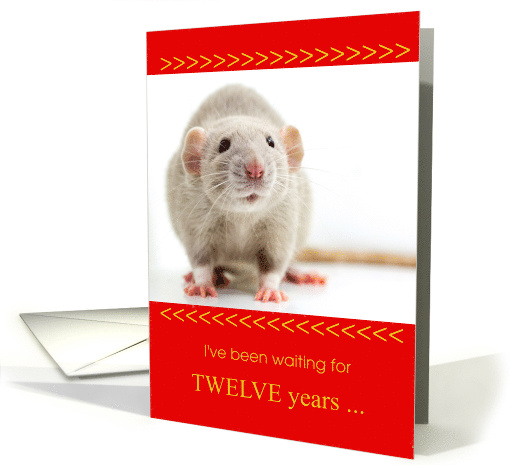 Funny Chinese New Year of the Rat card (1576476)