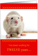 Funny Chinese New Year of the Rat card