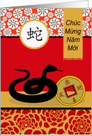 Tet Vietnamese New Year of the Snake with Coin Chuc Mung Nam Moi card