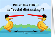 Funny Social Distancing with Ducks Wearing Long Billed Caps card