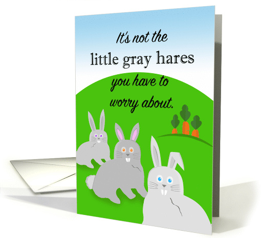 Funny Birthday Getting Older Little Gray Hares card (1631204)