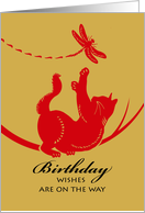 Birthday with Cat Reaching for Dragonfly card