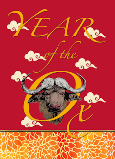 Funny Chinese New Year of the Ox Grab It By the Horns