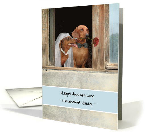 Cute Anniversary for Husband More than Puppy Love Dachshunds card