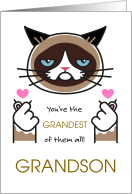 Older Grandson Valentine’s Day with Grumpy Cat Finger Hearts card