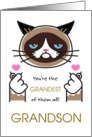 Older Grandson Valentine’s Day with Grumpy Cat Finger Hearts card