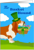 St. Patrick’s Day with Adorable Basket Basset Hound with Shamrocks card
