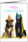 Dogust the First Birthday with Dogs Wearing Party Hats card