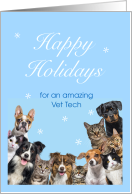 Vet Tech Happy Holidays Cats and Dogs Together card