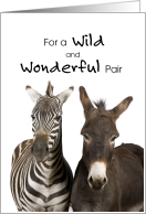 Couple Wedding Anniversary Zebra and Donkey Cute Photo card