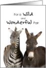 Couple Wedding Anniversary Zebra and Donkey Cute Photo card