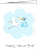 Irish Gaelic New Baby Boy Congratulations Cute Stork card