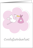 Irish Gaelic New Baby Girl Congratulations Cute Stork card