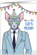 Birthday Sphynx Cat Dressed Up in Suit You’re the Cat’s Meow card