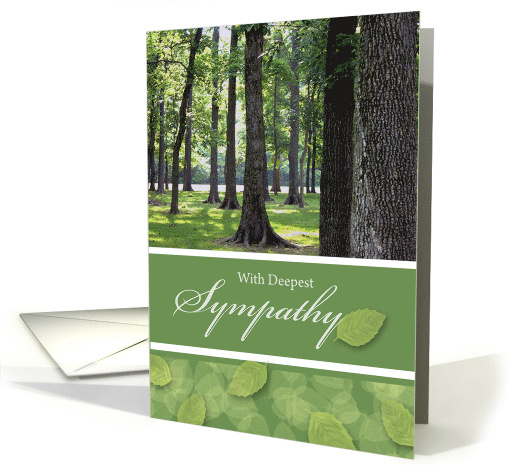 With Deepest Sympathy Illinois Woods in Filtered Sunlight card