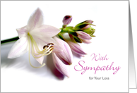 With Sympathy for Your Loss Featuring Hosta Blooms in Mauve Colors card