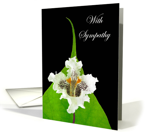 Sympathy for Loss of Mother with Catalpa Bloom and Leaf on Black card