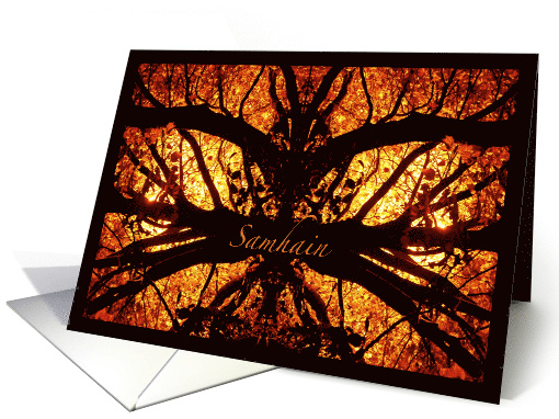 Samhain Spooky Tree Celtic Halloween with Spider Like Branches card